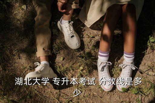  湖北大學(xué) 專升本考試 分數(shù)線是多少