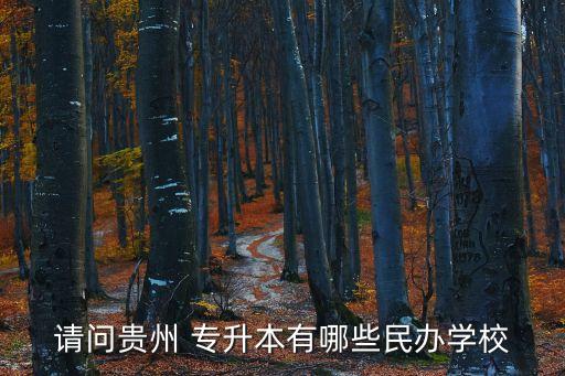 請(qǐng)問貴州 專升本有哪些民辦學(xué)校