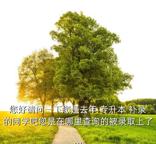 您好請問一下您是去年 專升本 補錄的同學吧您是在哪里查詢的被錄取上了...