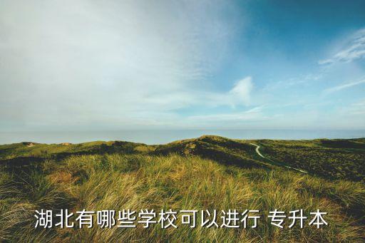 湖北有哪些學(xué)?？梢赃M(jìn)行 專升本