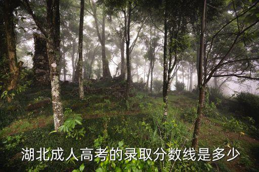 湖北成教專升本多少分算過,湖北中醫(yī)藥大學(xué)成教專升本