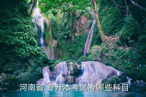  河南省 專升本考試考哪些科目