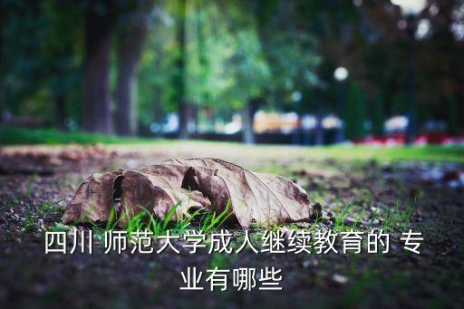  四川 師范大學(xué)成人繼續(xù)教育的 專業(yè)有哪些