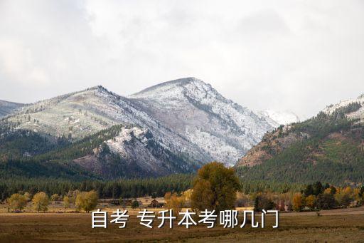  自考 專(zhuān)升本考哪幾門(mén)