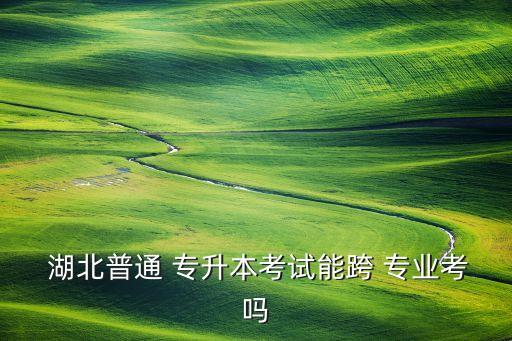 湖北專升本學(xué)校跨專業(yè)有哪些專業(yè)嗎