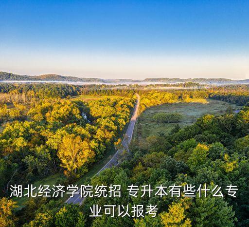 專升本審計(jì)視頻,大數(shù)據(jù)與審計(jì)專升本考什么