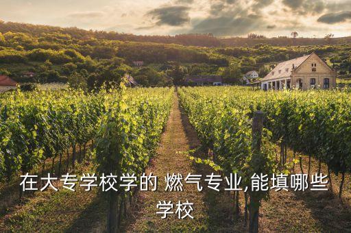 在大專學校學的 燃氣專業(yè),能填哪些學校