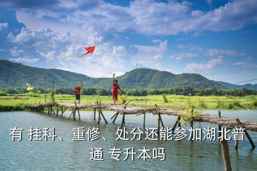 有 掛科、重修、處分還能參加湖北普通 專升本嗎