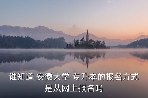 誰知道 安徽大學(xué) 專升本的報(bào)名方式是從網(wǎng)上報(bào)名嗎