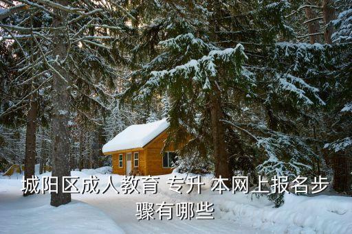 城陽區(qū)成人教育 專升 本網(wǎng)上報名步驟有哪些