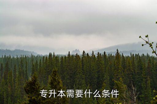 網(wǎng)絡教育專升本必須統(tǒng)考