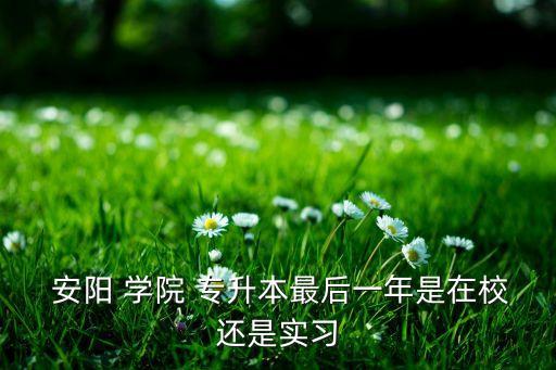  安陽 學(xué)院 專升本最后一年是在校還是實(shí)習(xí)