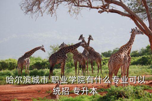 職業(yè)學(xué)校專升本報考,河南藥學(xué)專升本可以報考哪些學(xué)校