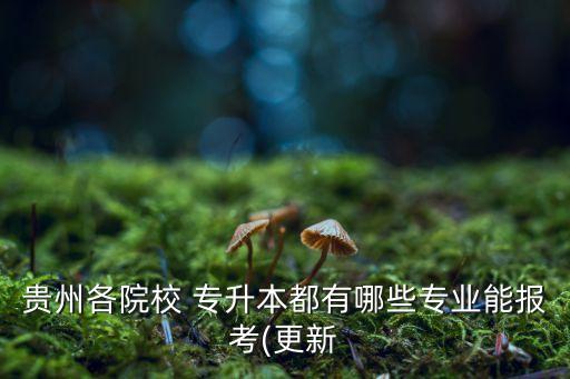 貴陽學院專升本專業(yè)課分數(shù)線,貴州專升本貴陽學院分數(shù)線
