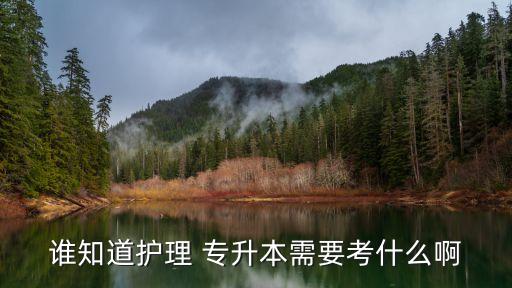 誰(shuí)知道護(hù)理 專升本需要考什么啊