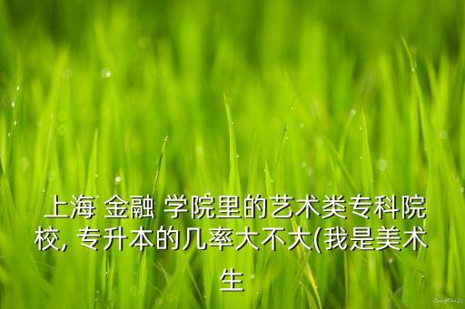  上海 金融 學(xué)院里的藝術(shù)類?？圃盒? 專升本的幾率大不大(我是美術(shù)生