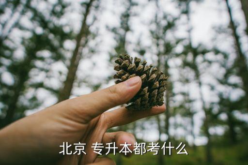 北京 專升本都考什么