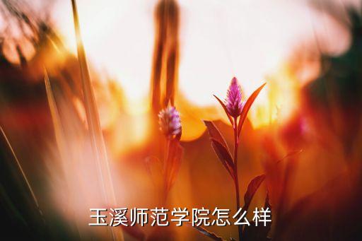 華僑崇圣大學(xué)專升本,泰國(guó)華僑崇圣大學(xué)怎么樣