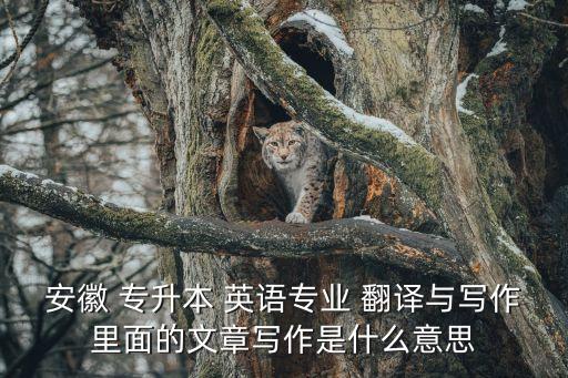 安徽 專升本 英語專業(yè) 翻譯與寫作里面的文章寫作是什么意思