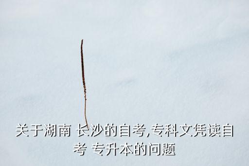 關(guān)于湖南 長沙的自考,?？莆膽{讀自考 專升本的問題