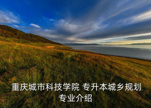  重慶城市科技學院 專升本城鄉(xiāng)規(guī)劃專業(yè)介紹