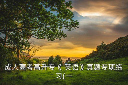 成人高考高升?！?英語》真題專項練習(一