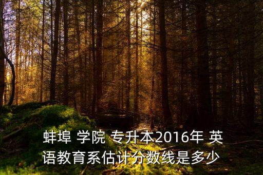 蚌埠學(xué)院英語(yǔ)專升本
