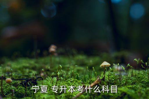 專升本的數(shù)學考試大綱