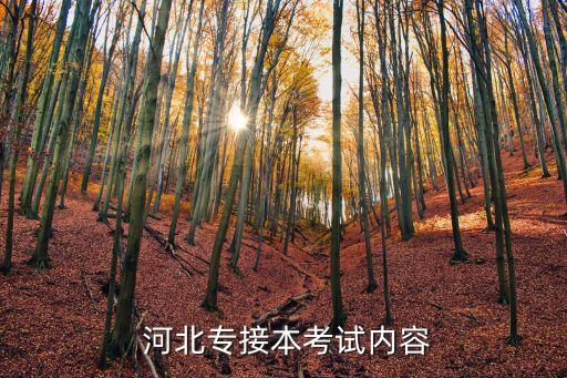  河北專接本考試內容