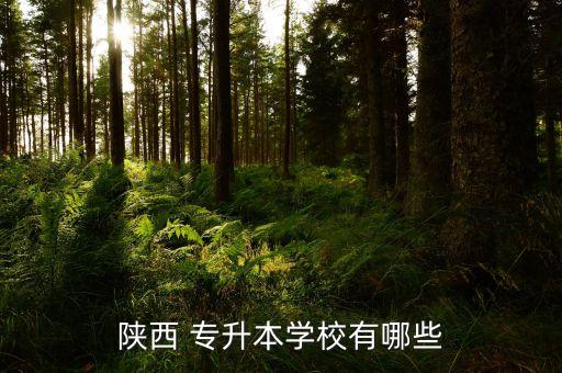 專升本二本大學,武漢專升本二本大學有哪些