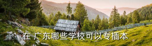 在 廣東哪些學(xué)校可以專插本