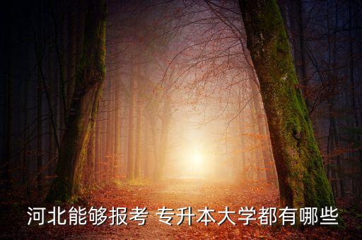  河北能夠報(bào)考 專升本大學(xué)都有哪些