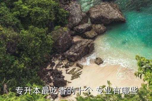哪些專業(yè)可以專升本,營口技術職業(yè)學校哪些專業(yè)可以專升本