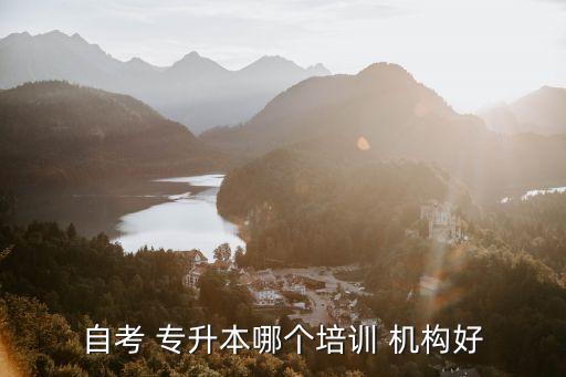自考 專升本哪個培訓 機構好