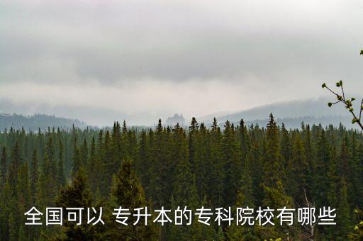 什么學(xué)校有專升本嗎,學(xué)校有什么項目可以做