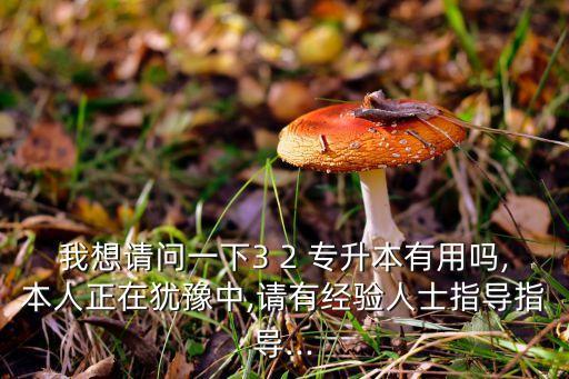 我想請問一下3 2 專升本有用嗎,本人正在猶豫中,請有經(jīng)驗(yàn)人士指導(dǎo)指導(dǎo)...