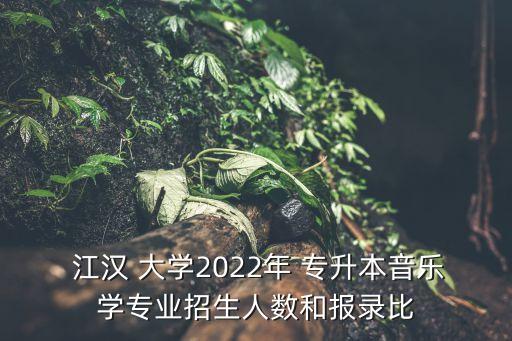  江漢 大學(xué)2022年 專升本音樂(lè)學(xué)專業(yè)招生人數(shù)和報(bào)錄比