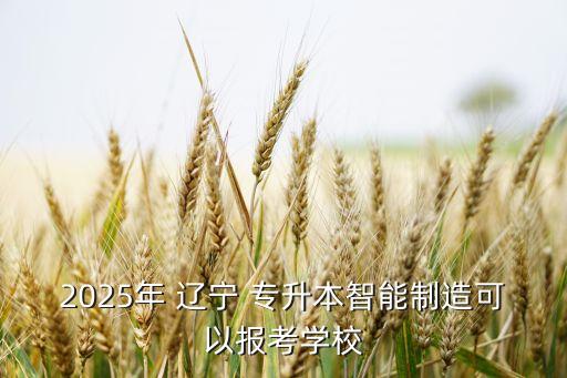 2025年 遼寧 專(zhuān)升本智能制造可以報(bào)考學(xué)校