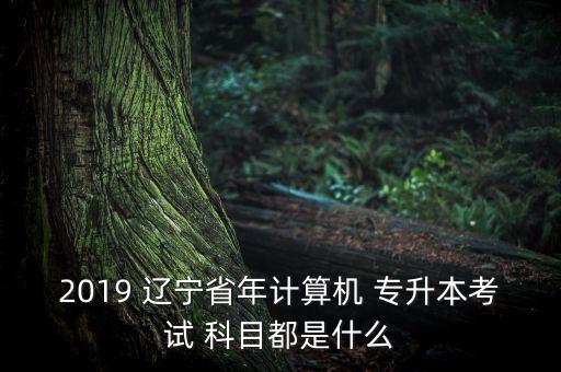 2019 遼寧省年計算機 專升本考試 科目都是什么