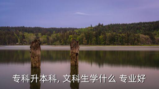 ?？粕究? 文科生學什么 專業(yè)好
