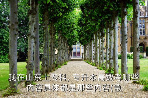 我在山東上?？? 專升本高數(shù)考哪些內(nèi)容具體都是那些內(nèi)容(急