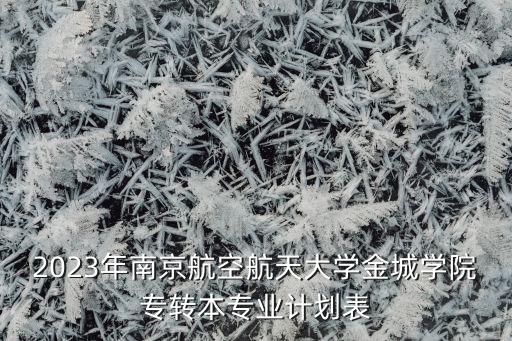 2023年南京航空航天大學金城學院專轉(zhuǎn)本專業(yè)計劃表