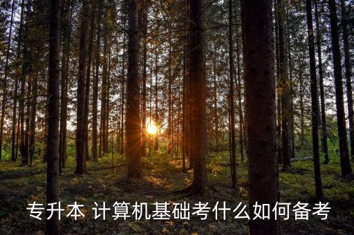  專(zhuān)升本 計(jì)算機(jī)基礎(chǔ)考什么如何備考