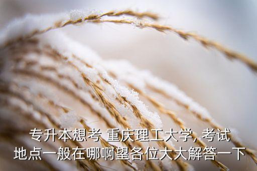  專(zhuān)升本想考 重慶理工大學(xué), 考試 地點(diǎn)一般在哪啊望各位大大解答一下