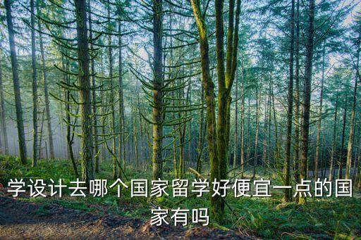 學(xué)設(shè)計(jì)去哪個(gè)國家留學(xué)好便宜一點(diǎn)的國家有嗎