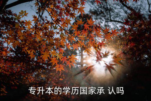  專升本的學(xué)歷國家承 認嗎