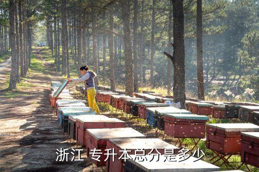  浙江 專(zhuān)升本總分是多少