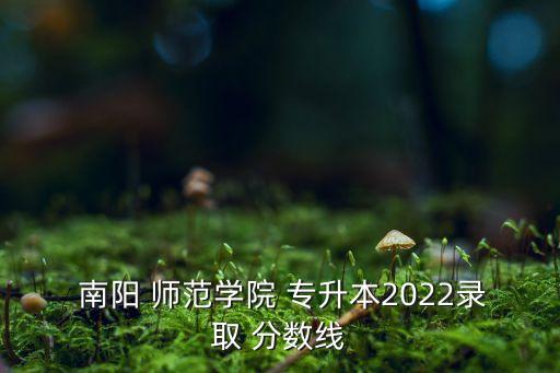  南陽 師范學院 專升本2022錄取 分數(shù)線