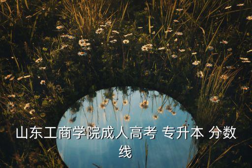 山東工商學院成人高考 專升本 分數(shù)線