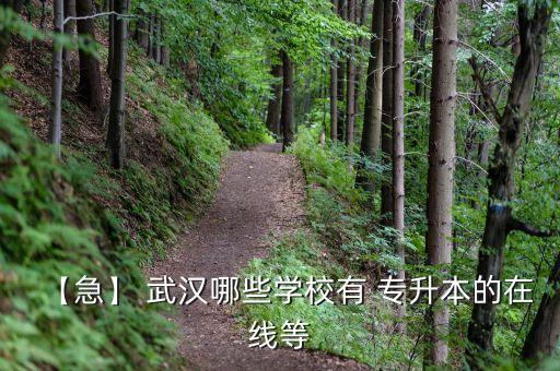 【急】 武漢哪些學(xué)校有 專(zhuān)升本的在線等